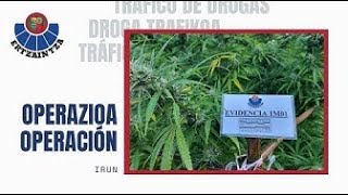 ERTZAINTZA  Drogatrafikoaren aurkako operazioa Irunen  Operación antidroga en Irun [upl. by Nahrut292]