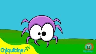 Itzy Bitzy Spider ♫ song for kids ♫ [upl. by Spears]