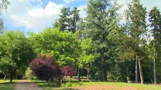 Jardin de Normandie  Arboretum dHarcourt parc et jardin [upl. by Nnayecats]