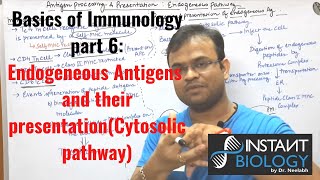 Immunology Part 6 Endogeneous pathway of Antigen processing and Presentation CYTOSOLIC PATHWAY [upl. by Anirda]