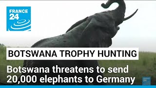 Botswana threatens to send 20000 elephants to Germany • FRANCE 24 English [upl. by Adiaros]