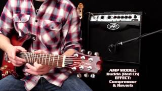 Peavey Vypyr VIP  Multi Instrument Performance Demo [upl. by Yecrad]