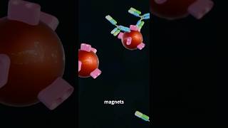 Revolutionize Diagnostics Magnetic Particles for High Sensitivity CLIA nanotechnology diagnostics [upl. by Aij]