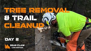 TREE REMOVAL TRAIL CLEANUP amp NEW PARTS [upl. by Nonnairb887]