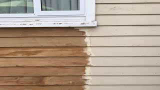 Stripping Weatherboards Livestream [upl. by Levenson163]