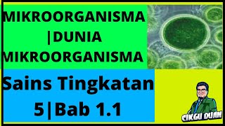 Mikroorganisma  Dunia Mikroorganisma  Sains Tingkatan 5  Bab 11 Part 1 [upl. by Boutis]