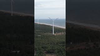 Wind Power Project  Norochcholai Sri Lanka travel beach windmill renewableenergy [upl. by Caravette]