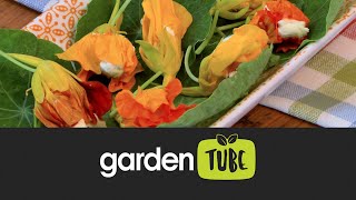 Ways To Use Nasturtiums In Cooking [upl. by Atiekal]