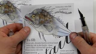 Tripletail instructions [upl. by Penni]