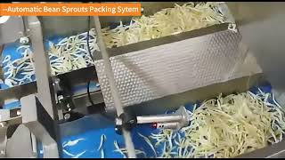 Automatic Bean Sprouts Packing SytemFocus Machienry [upl. by Glaser]