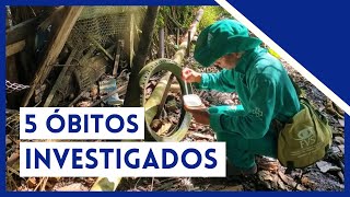 VÍTIMAS DE DENGUE AUMENTAM NO AMAZONAS [upl. by Eelatsyrc]