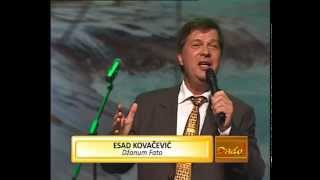 ESAD KOVAČEVIĆ  Džanum Fato  SEVDAH FEST BIHAĆ 2014 [upl. by Sedinoel]