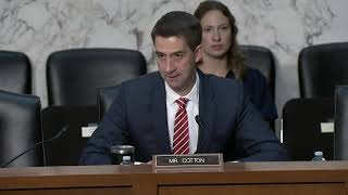 May 16 2024 Senator Cotton in SASC Hearing [upl. by Nylloh]