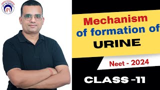 Mechanism of formation of URINE  CBSE  Class 11th  Is se asaan kahi nahi  JPT BIOLOGY ACADEMY [upl. by Ahsienod]