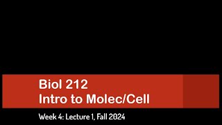 CSULB Biol 212 Fall 2024  Week 4 Lecture 1 [upl. by Benildis]