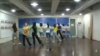 SNSD Genie Dance Practice 090608 Girl Generation [upl. by Tamsky513]