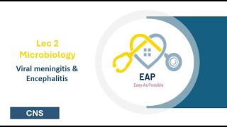 Lec 2  Microbiology  Viral meningitis amp Encephalitis  CNS 42 [upl. by Ecydnarb]