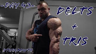 TheGrowth 2024 Day 043 Delts and Tris [upl. by Schach]