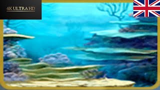 Turtle Odyssey PC  Level 17 4K60ENG [upl. by Eimoan246]