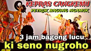 BAGONG LUCU WAYANG KULIT KI SENO NUGROHOBagongNgglelengReborn [upl. by Timus]