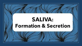 Saliva Formation amp Secretion [upl. by Uase]