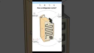 How a refrigerator works [upl. by Mahseh]