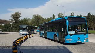 Autocarros em Famalicão  Terra dos citaro C2 do Norte [upl. by Allemat150]