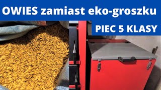 OWIES zamiast ekogroszku  piec 5 klasy Tani opał Piec z podajnikiem [upl. by Adnofal559]