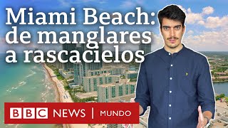 Cómo Miami Beach se construyó en un terreno quotinhabitablequot  BBC Mundo [upl. by Penthea978]