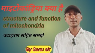 structure and function of mitochondria mitochondria kise kahate hain माइटोकांड्रिया [upl. by Flatto952]