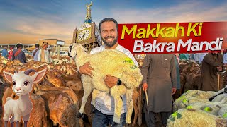 Bakra Mandi in MAKKAH 🐪 🐏 HAJJ 2024 Eid al Adha in Makkah Saudi Arabia [upl. by Namyac746]