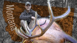 A public land grind Bow hunting elk Eastmans Hunting TV [upl. by Airegin]