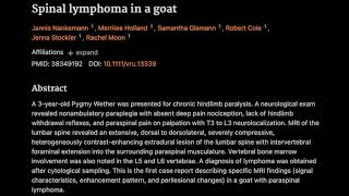 8 Spinal lymphoma in a goat [upl. by Stefanie]