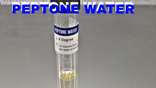 PEPTONE WATER  MICROBIOLOGY [upl. by Ahsimik]