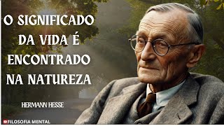 Como DAR um novo SENTIDO na Vida  HERMANN HESSE [upl. by Sibella]