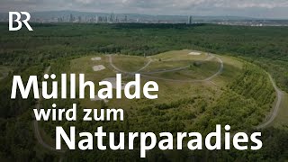 Der Natur überlassen Die Renaturierung einer Mülldeponie  Gute Nachrichten vom Planeten  BR [upl. by Polivy]