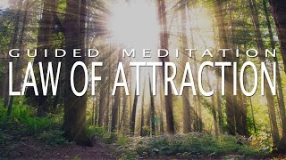 Law of Attraction Meditation for Deep Positivity amp Abundance Guided Meditation 20 Minutes [upl. by Eniamurt94]