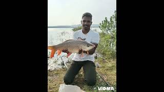 big carp fishing pop up feeder fishing big rahu catching [upl. by Larsen]