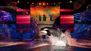 Seaworld San Antonios Shamu quotBelievequot Last Summer Night Show [upl. by Amairam]