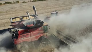 Last day Of Cutting Soybeans Harvest Day 42 Season 5 Episode 38 [upl. by Jehiah]