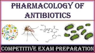 Top Questions  Antibiotics [upl. by Aroon]