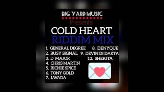 quotCOLD HEART RIDDIMquot MegaMix BIG YARD MUSIC General Degree Busy Signal Chris Martin [upl. by Ennaeed]