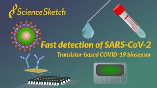 Fast detection of COVID19 virus the discovery of a biosensor for SARS CoV2 [upl. by Sera]