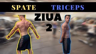 Antrenament pentru Spate si Triceps  Ziua 2 [upl. by Xonnel28]