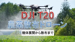 DJI T20農薬散布ドローン展開から実散布まで [upl. by Shaefer]