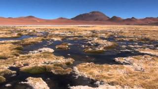 Volcan Licancabur Salar Pujsa Chile [upl. by Adiarf]