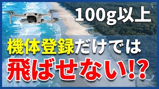 【100g以上】620～飛行申請が必要！？特に注意すべき飛行を詳しく解説！【ドローン】 [upl. by Ebba]