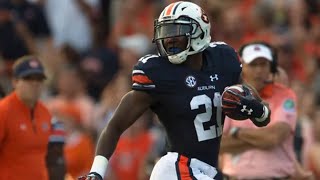 The Star Auburn RB That Disappeared What Happened to Kerryon Johnson [upl. by Enomor]