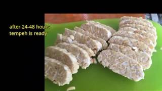 INDONESIAN FOOD HOW TO MAKE TEMPE  Ep 004 [upl. by Acilgna]