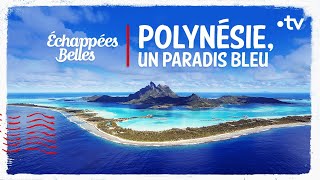 Polynésie un paradis bleu  Échappées belles [upl. by Alracal]